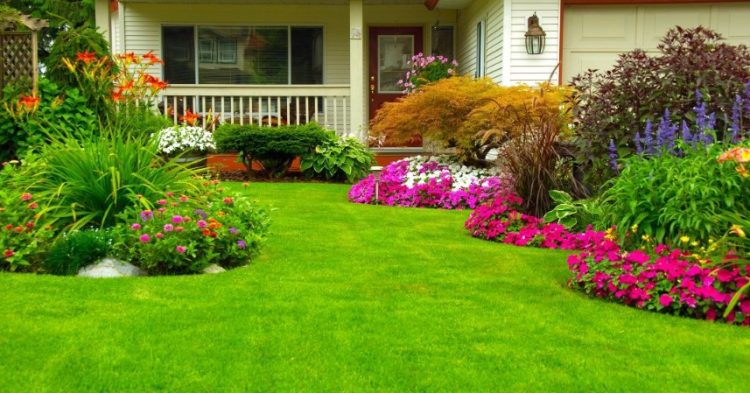 Beautiful Lawns Bring Pride to You